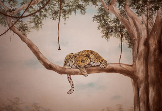 Комнаты релакса